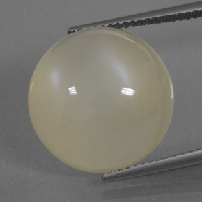 Pietra di luna Giallo chiaro naturale da 17.87 ct, Taglio rotondo, Traslucido