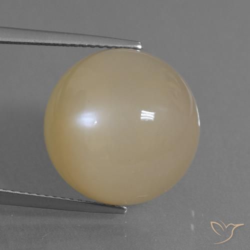 17.91ct Naturale Dorato pesca chiaro Pietra di luna, Rotondo, Traslucido
