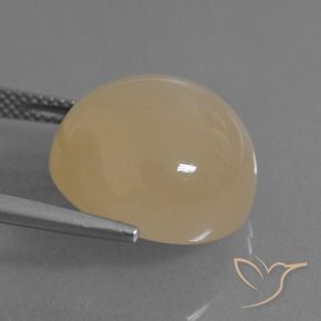 Pietra di luna Dorato pesca chiaro naturale da 17.91 ct, Rotondo, Traslucido