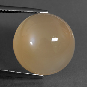 Pietra di luna Arancio Medio naturale da 16.94 ct, Taglio rotondo, Traslucido