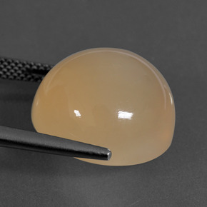 Pietra di luna Arancio Medio naturale da 16.94 ct, Taglio rotondo, Traslucido