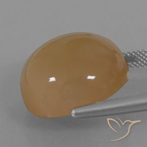 Pietra di luna Marrone Chiaro Di Arachidi naturale da 23.98 ct, Rotondo, Traslucido