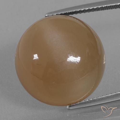 21.98ct Naturale Marrone aranciato Pietra di luna, Rotondo, Traslucido