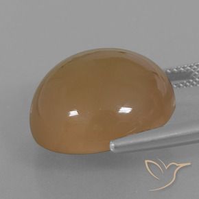 Pietra di luna Marrone aranciato naturale da 21.98 ct, Rotondo, Traslucido