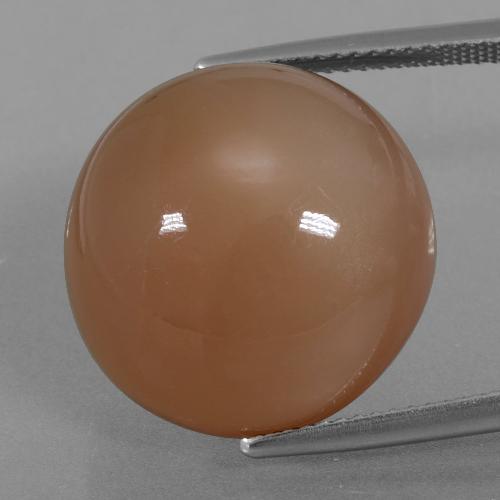 Pietra di luna Marrone caldo naturale da 23.28 ct, Taglio rotondo, Traslucido
