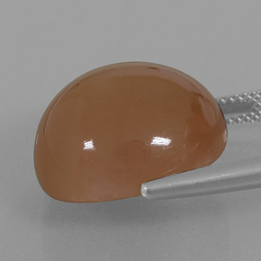 Pietra di luna Marrone caldo naturale da 23.28 ct, Taglio rotondo, Traslucido