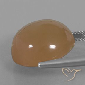 Pietra di luna Caramello Marrone naturale da 23.89 ct, Rotondo, Traslucido