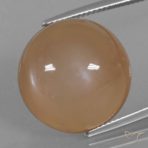 24.65ct Naturale Caramello Marrone Pietra di luna, Rotondo, Traslucido