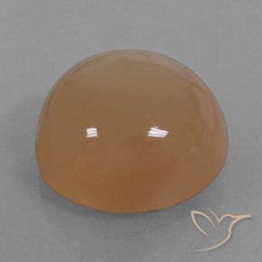 Pietra di luna Caramello Marrone naturale da 24.65 ct, Rotondo, Traslucido