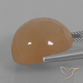 Pietra di luna Caramello Marrone naturale da 24.65 ct, Rotondo, Traslucido
