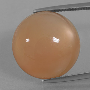 Pietra di luna naturale arancione da 21,29 ct, taglio rotondo, traslucido