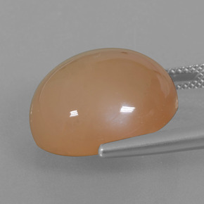 Pietra di luna naturale arancione da 21,29 ct, taglio rotondo, traslucido
