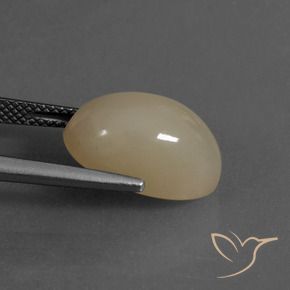 Pietra di luna Marrone chiaro naturale da 8.02 ct, Ovale, Traslucido