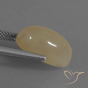 Pietra di luna Marrone Caffè Chiaro naturale da 7.30 ct, Ovale, Traslucido