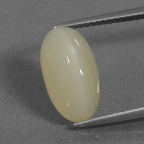 Pietra di luna Giallo medio naturale da 5.86 ct, Taglio ovale, Traslucido