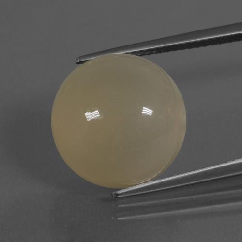 Pietra di luna dorato chiaro naturale da 11,50 ct, taglio rotondo, traslucido
