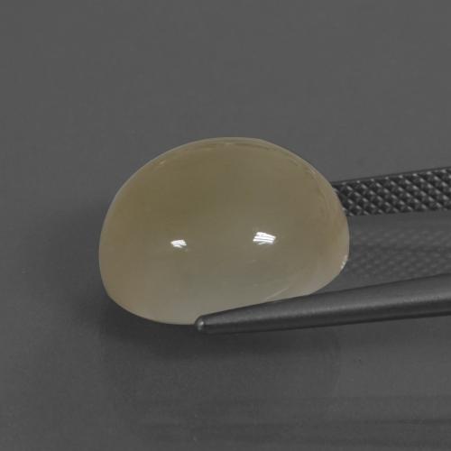 Pietra di luna dorato chiaro naturale da 11,50 ct, taglio rotondo, traslucido