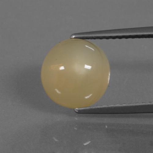 Pietra di luna Dorato naturale da 3.37 ct, Taglio rotondo, Traslucido
