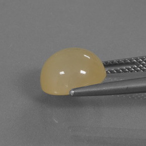 Pietra di luna Dorato naturale da 3.37 ct, Taglio rotondo, Traslucido