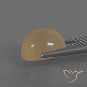 Pietra di luna Marrone chiaro naturale da 5.20 ct, Ovale, Traslucido