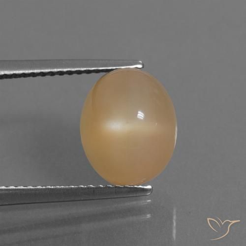 5.32ct Naturale Arancio-Oro Pietra di luna, Ovale, Traslucido