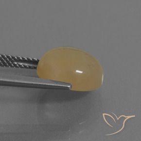 Pietra di luna Marrone Caffè Chiaro naturale da 5.13 ct, Rotondo, Traslucido