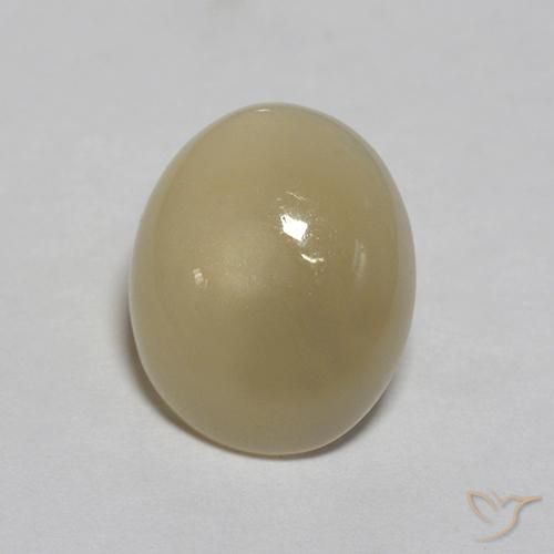 Pietra di luna Marrone Caffè Chiaro naturale da 3.03 ct, Ovale, Traslucido