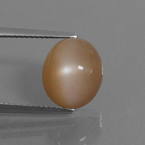 Pietra di luna Marrone Arachidi naturale da 6.30 ct, Taglio ovale, Traslucido