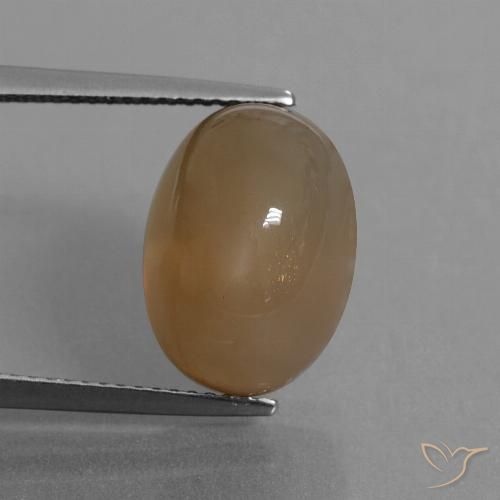 9.55ct Naturale Marrone Caramello Chiaro Pietra di luna, Ovale, Traslucido