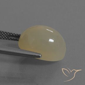 Pietra di luna Marrone Caffè Chiaro naturale da 8.75 ct, Ovale, Traslucido