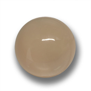 Pietra di luna naturale marrone da 24,50 ct, taglio rotondo, traslucido