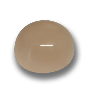 Pietra di luna naturale marrone da 24,50 ct, taglio rotondo, traslucido