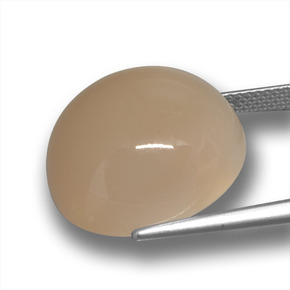 Pietra di luna naturale marrone da 24,50 ct, taglio rotondo, traslucido