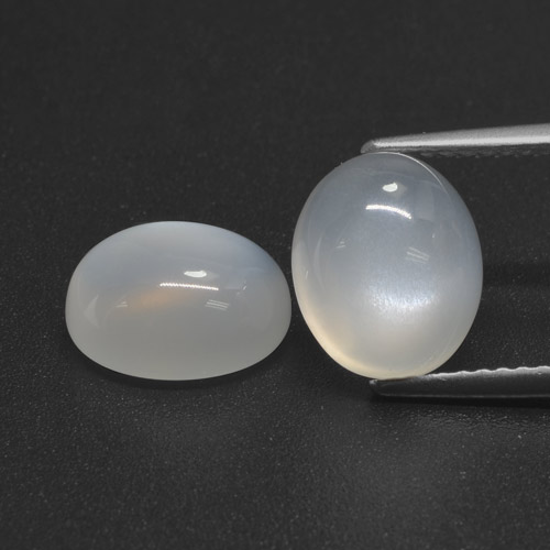 Gemme di Pietra di luna Bianco traslucido naturale da 5.67 ct, Taglio ovale, Traslucido