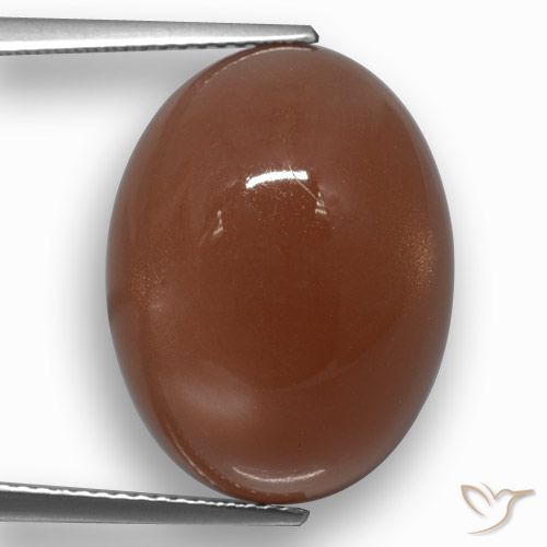 17.21ct Naturale Marrone rossastro Pietra di luna, Ovale, Traslucido