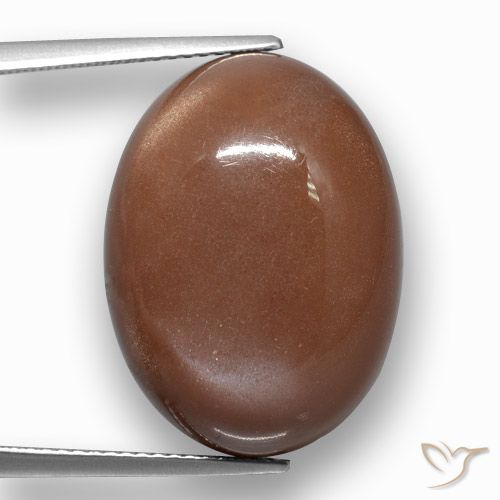 24.38ct Naturale Cannella Brown Pietra di luna, Ovale, Opaco
