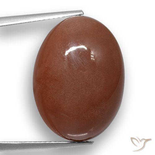 20.59ct Naturale Marrone medio Pietra di luna, Ovale, Traslucido