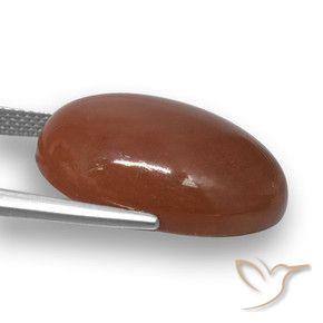 Pietra di luna Marrone medio naturale da 20.59 ct, Ovale, Traslucido
