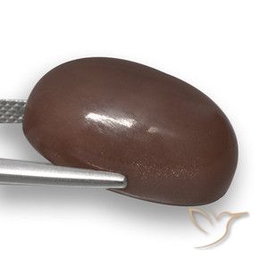 Pietra di luna Marrone medio naturale da 22.51 ct, Ovale, Traslucido