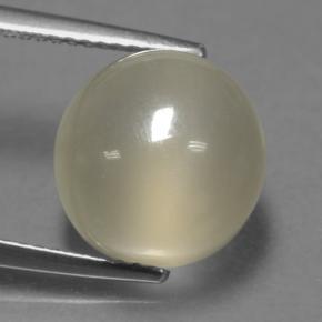 Pietra di luna Giallo chiaro naturale da 7.39 ct, Taglio rotondo, Traslucido