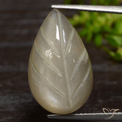 12.55ct Naturale Marrone Caffè Chiaro Pietra di luna, Taglio a fantasia, Traslucido