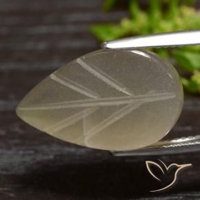 Pietra di luna Marrone Caffè Chiaro naturale da 12.55 ct, Taglio a fantasia, Traslucido