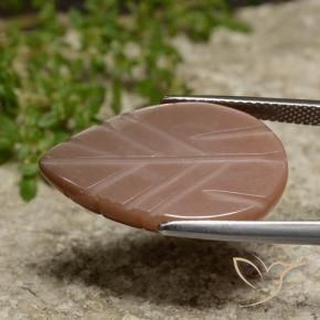 Pietra di luna Marrone caldo naturale da 15.59 ct, Taglio a fantasia, Traslucido