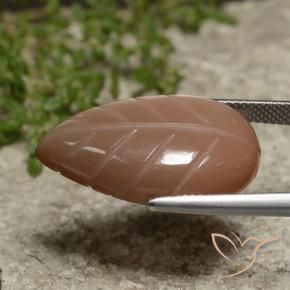 Pietra di luna Marrone caldo naturale da 15.59 ct, Taglio a fantasia, Traslucido