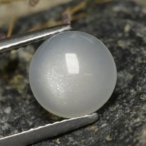 Pietra di luna naturale bianco da 2,30 ct, taglio rotondo, traslucido