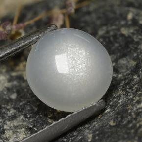 Pietra di luna naturale bianco da 2,30 ct, taglio rotondo, traslucido