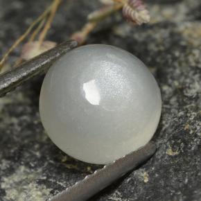 Pietra di luna naturale bianco da 2,73 ct, taglio rotondo, traslucido