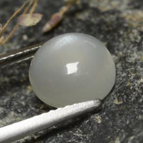 Pietra di luna naturale bianco da 2,73 ct, taglio rotondo, traslucido