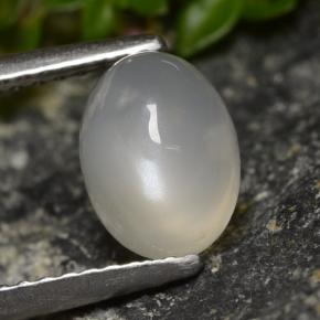 Pietra di luna naturale bianco da 1,58 ct, taglio ovale, traslucido