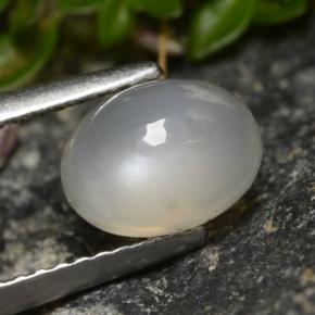 Pietra di luna naturale bianco da 1,58 ct, taglio ovale, traslucido